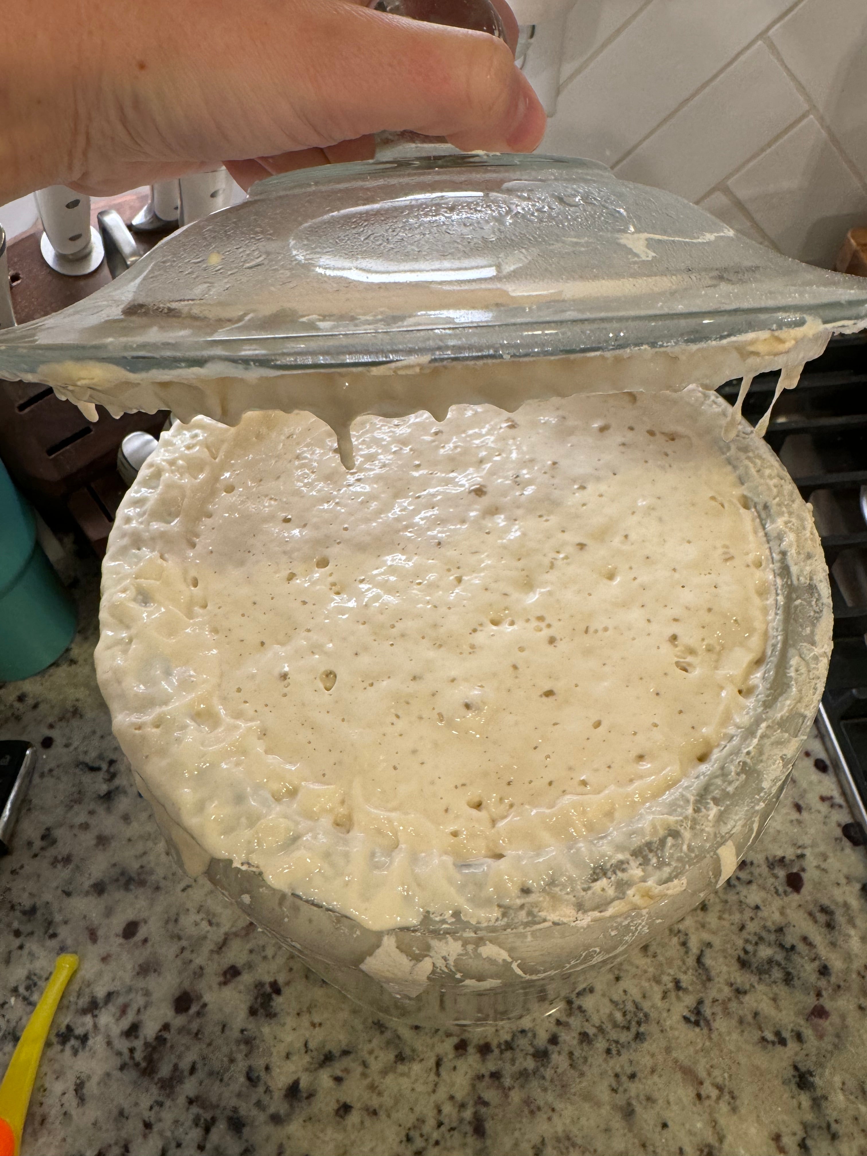 Eve - Organic Dehydrated Sourdough Starter