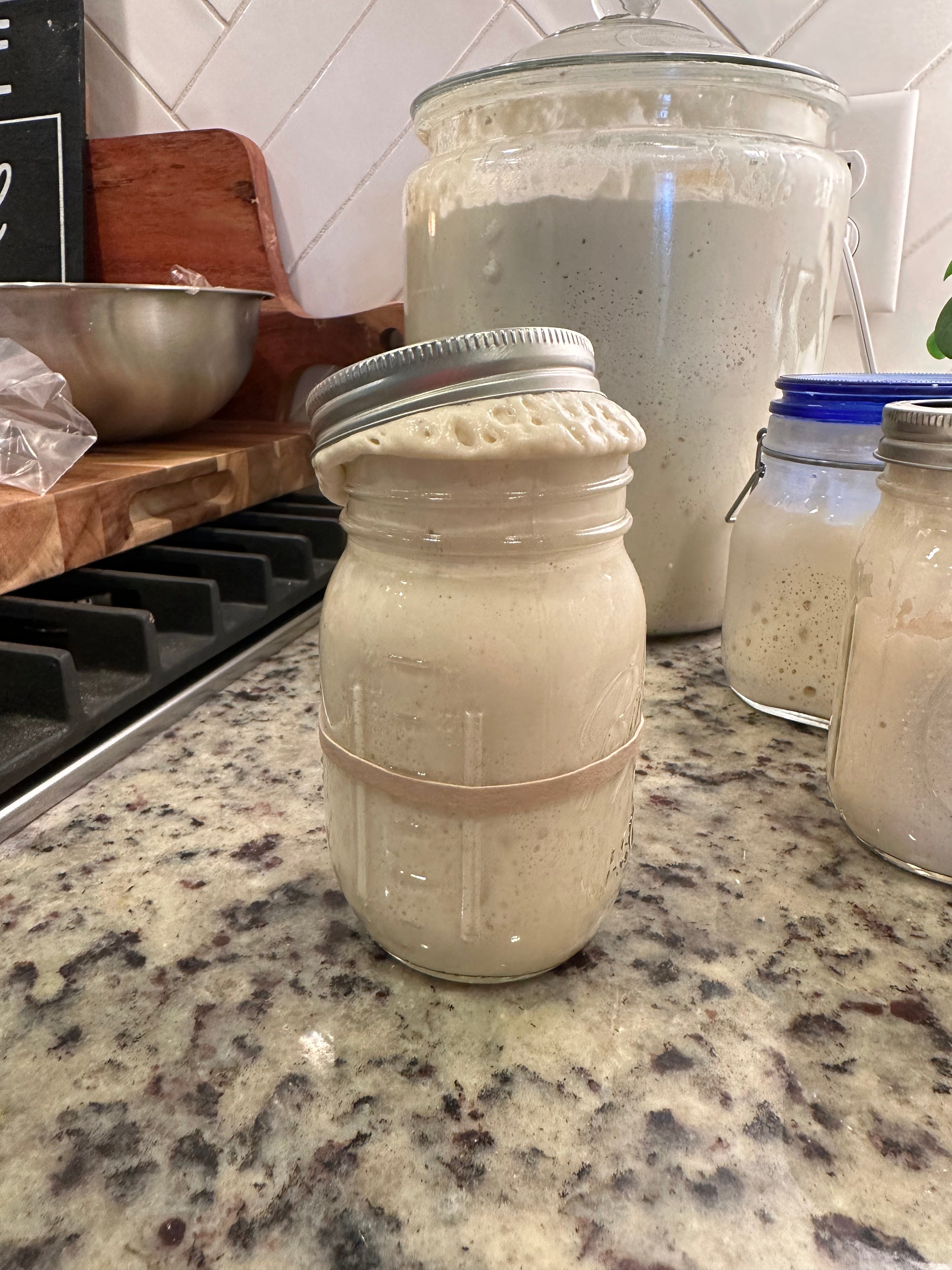 Eve - Organic Dehydrated Sourdough Starter