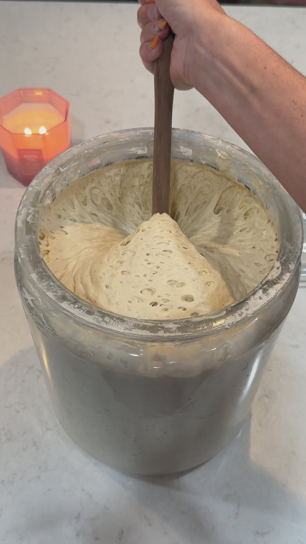 Eve - Organic Dehydrated Sourdough Starter